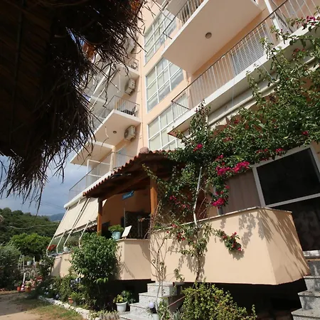 Ameli * Himara